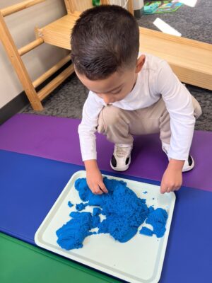 The Importance of Sensory Integration